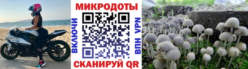 кракен вход  наркотики  Называевск  Галлюциногенные грибы мицелий 