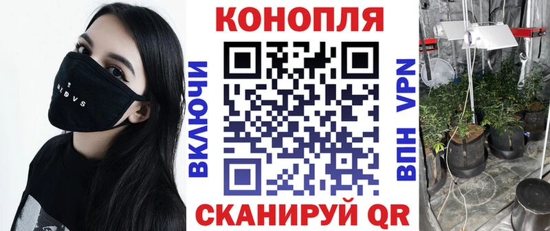Каннабис MAZAR  OMG маркетплейс  Называевск  как найти  